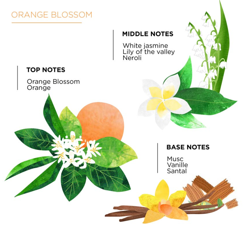 Reed Diffuser Fragrance Refill Orange Blossom 300ml