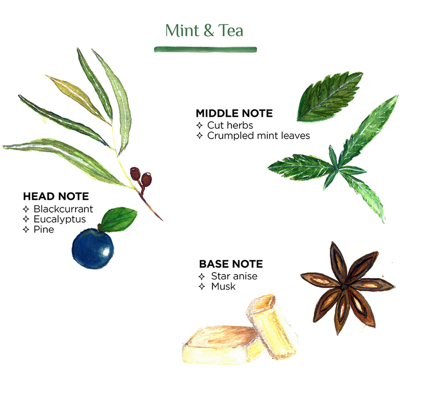 Reed Diffuser Fragrance Refill Mint Tea 300ml